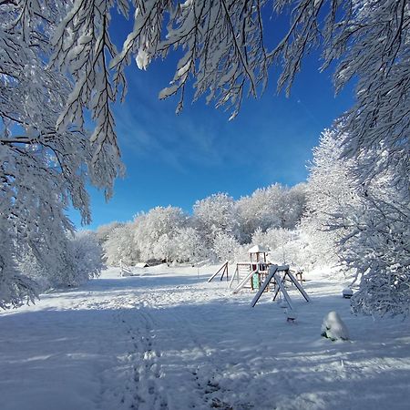 Plitvice Green Apartment Plitvička Jezera Dış mekan fotoğraf